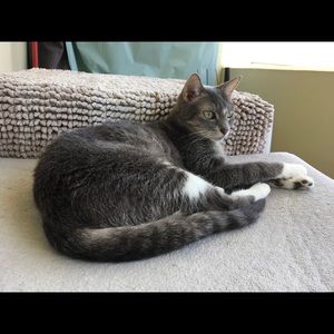 Meet your Posher, Richard